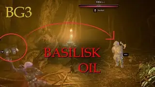Using Basilisk Oil on the Hag's Victim! || Baldur's Gate 3