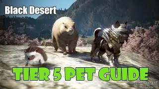 [Black Desert] How to Upgrade Your Tier 4 (T4) Pet to Tier 5 (T5) Pet! Guide / Walkthrough!