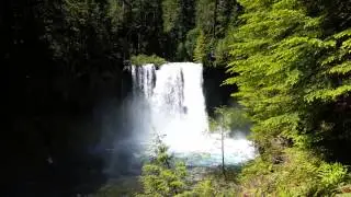 Kayak drop, koosah falls, Mckenzie river, oregon