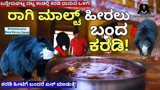 "ಬನ್ನೆರುಘಟ್ಟ ಕಾಡಲ್ಲಿ ಕರಡಿಗಳು ರಾಗಿ ಗಂಜಿ ಹೇಗೆ ಹೀರುತ್ತವೆ ನೋಡಿ!-E3-Bannerghatta-WildLife SOS Bear Centre