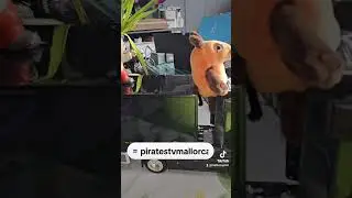 Gerüchte um das Wasser