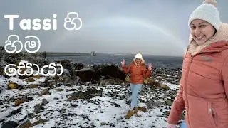 Tassi හි හිම සොයා❄️winter Season☃️🏂Snow🏔️🗻🇦🇺