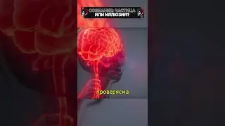 Сознание — частица или иллюзия? 