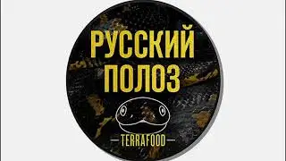 НЕМНОГО ЗМЕИНОГО 