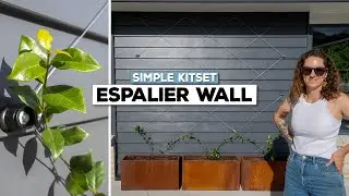 D.I.Y Espalier Wall