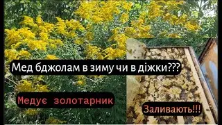 Як діять пасічнику в серпні або прибуток пасіки в осінь