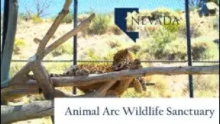 Animal Arc Wildlife Sanctuary with NREG Agent Brent Copeland