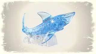 Крутой 3D пазл! СОБИРАЕМ Акулу 3D puzzle Shark toy