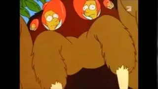 Simpsons - Fliege Bart im Spinnennetz