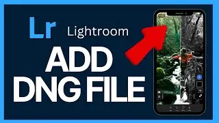 How to Add Dng File in Lightroom 2024?