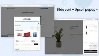 Cart Drawer Shopify | Slide Cart Shopify | by Automatic Discount app Shopify
