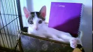 @jsakha [http://twitvid.com/XLEWP - test upload]