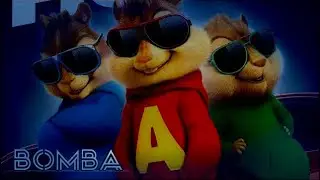 Burunduqlar - Bomba |Furqat Macho