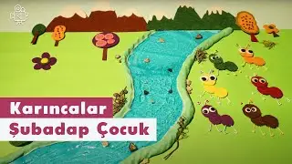 Karıncalar | Video | Şubadap Çocuk