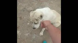 Паметна е?🙃