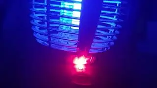 Fly zap