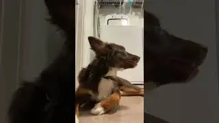 Crunch crunch