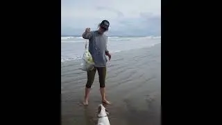 #fishing #90milebeach #trevally #surffishing