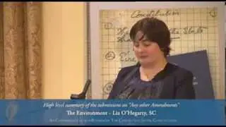 Any Other Amendments: Presentations - Convention on the Constitution (03/11/13)