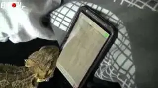 C'est qui le meilleur !?