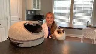 Sleep and Go - Doc & Phoebe
