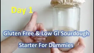 👍 Day One 👍 How To Make A Gluten Free Low GI Sourdough Starter For Dummies #teemars