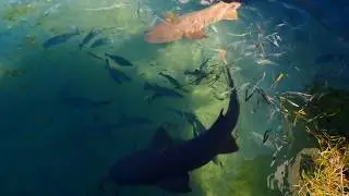 Key West 4K