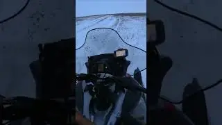 охота на волков.взял волчицу в сумерках!!!!!