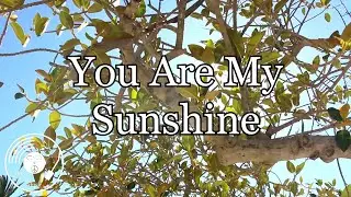 You Are My Sunshine w/ Lyrics - Nat King Cole Version