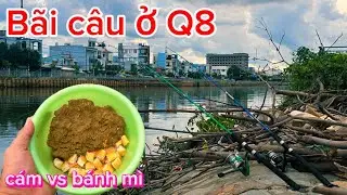 5H CÂU CÁ TRA THIÊN NHIÊN BÃI CÂU SÀI GÒN QUẬN 8 | Phiêu xứ dừa