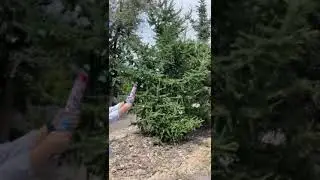 СМ 015