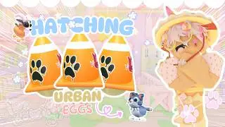 Hatching URBAN EGGS in ADOPT ME!