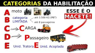 CATEGORIAS DA HABILITAÇÃO - A DIFERENÇA ENTRE AS CATEGORIAS A, B, C, D E CATEGORIA E DA CNH