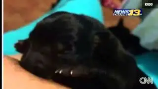 Woman breastfeeds puppy