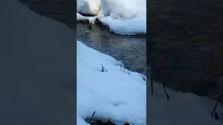 #журчатручьи