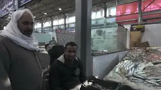 Egiptas- Hurghada apžvalginė ekskursija senasis žuvų turgus