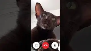 А давайте сделаем расчет!
