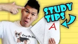 HOW TO STUDY | TIPS FROM AN IVY LEAGUE STUDENT - Life After College: Ep. 483