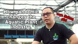 EXCLUSIVE! Interview with APCI director, Chivalry Ai Pranoto.