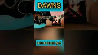 DAWNS - Zach Bryan - Guitar for Beginners 