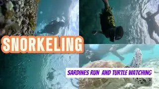 SNORKELING Moalboal nang Anak Ko/NANCYKEN CHANNEL