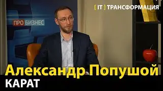 Цифровизация на производстве  —  Александр Попушой, Карат