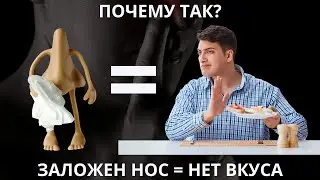 Вот почему когда заложен нос не чувствуется вкус 
