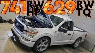2021 F150 HELLION TWIN TURBO (700+ RWHP) 5.0 Coyote Dyno at Brenspeed