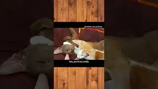 Biting love😺🩷 I L̶O̶V̶E̶ snap you a lot 