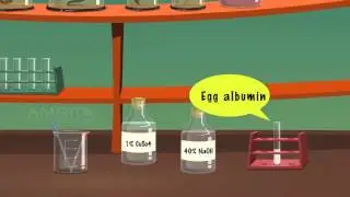Test for Carbohydrates, Proteins and Fats - MeitY OLabs