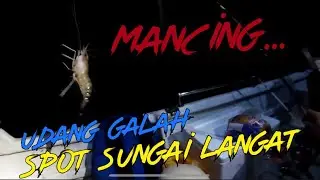 🔴Mancing udang galah di sungai langat Banting Selangor