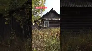 Нашли избу в деревне #денсталк #изба #деревни