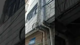 Beta Videos Blog Blogger Prank Video prank YouTube bloger #Prank #Pranker #YouTube #Blogger(2)
