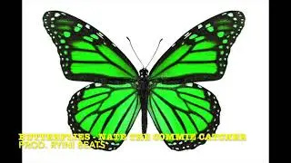 Butterflies - Nate the Commie Catcher
